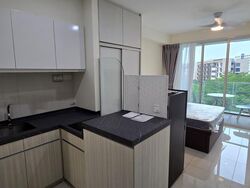1 Canberra (D27), Condominium #503557401